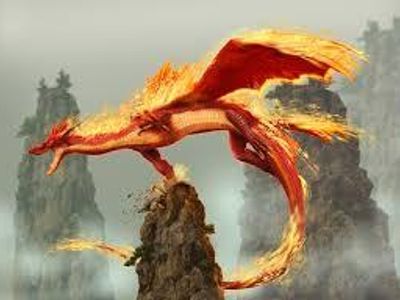 Fire Dragon