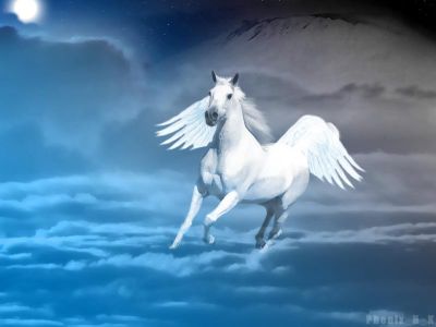 You are a Pegasus!