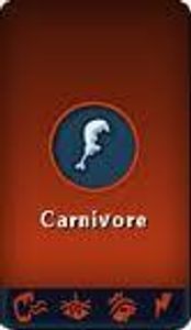 Carnivore