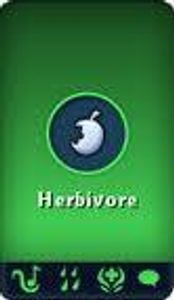 Herbivore