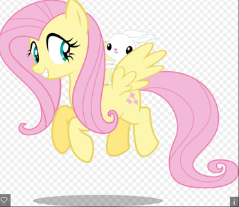 flutter shy