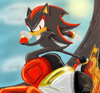 Shadow The Hedgehog