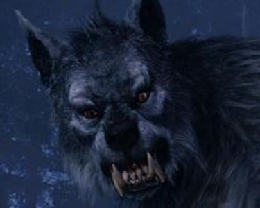 The Werewolf