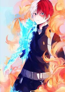 SHOTO TODOROKI