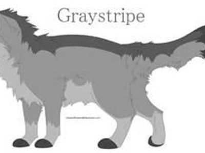 Graystripe