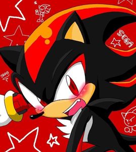 Shadow The Hedgehog