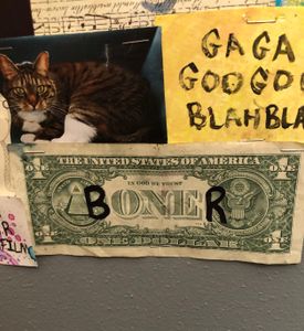 Boner Dollar