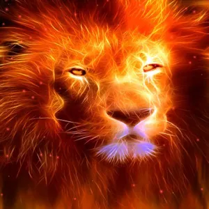 Fire Fire