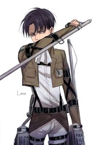 Levi