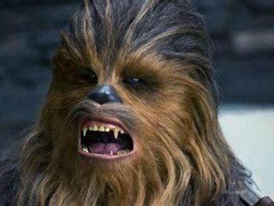 Chewbacca