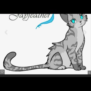 Jayfeather