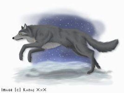 Night Wolf (Night Watcher)