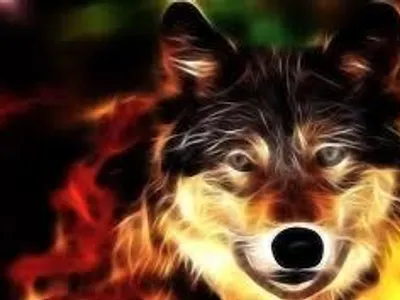 Wolf Wolf