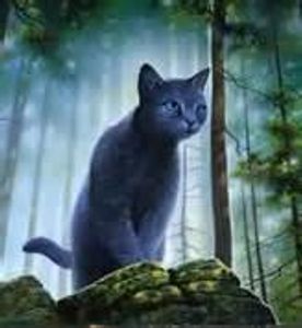 Bluestar