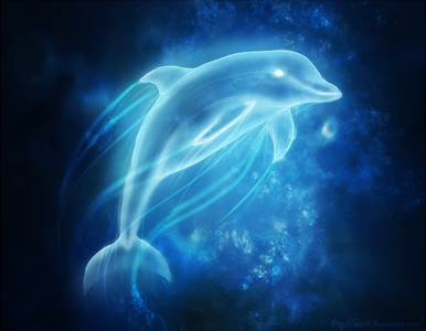 Dolphin