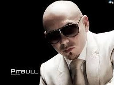 Pitbull