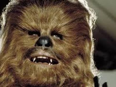 Chewbacca