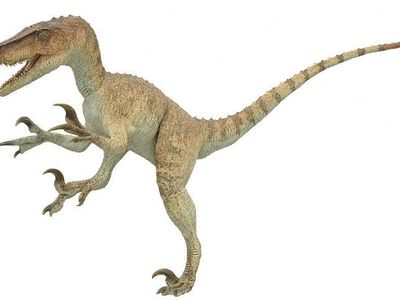 Utahraptor