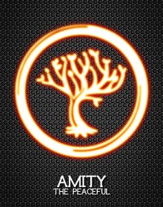 Amity