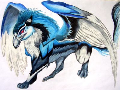 Azurine the Gryphon!