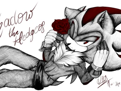 Shadow Loves You<3 Shadow Loves You<3