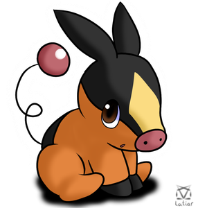 Tepig