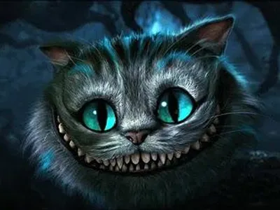 Cheshire Cheshire