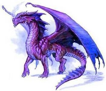 Purple Dragon