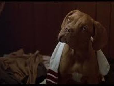 At the end of the film, sadly, Hooch died. But his lovely life still moved on through puppies! But what breed was the mother of Hooch's beloved puppies?