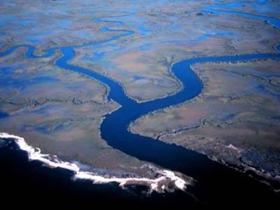 Which feshwater/saltwater ecosystem occurs when a river runs into an ocean?