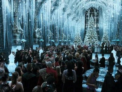 Who did Ron, Harry and Hermione go to the Yule Ball with?