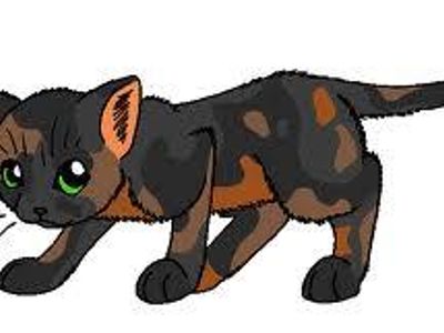 I am a loyal shadowclan warrior. My mate is the Shadowclan deputy after Russetfur died. I had three kits but one of them died even though Jayfeather tried to save him. I when on the journey to the Sun-drown place with Brambleclaw. I have to prove my loyalties again and again. My mother is a Thunderclan cat.