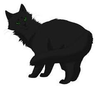 Which ancient cat did Hollyleaf find in the tunnels when they collapsed?