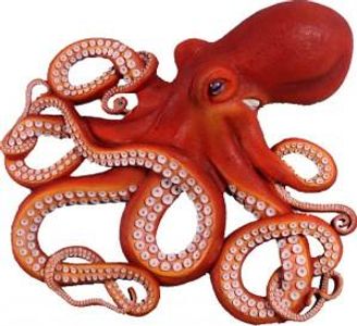 How many hearts does an octopus have?