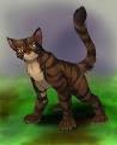 What was Tigerstar's warrior name?