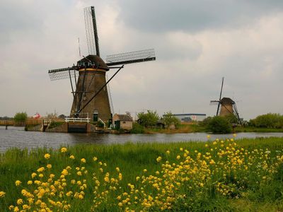 Which country is famous for its tulips and windmills?