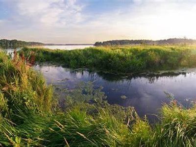 Which landform is an area of land completely surrounded by water?