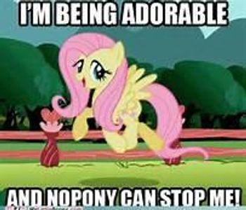 Use one word to describe Fluttershy.