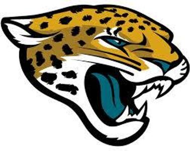 Which NFL team's logo is shown below?