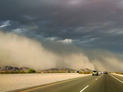 When driving in a dust storm, you should: