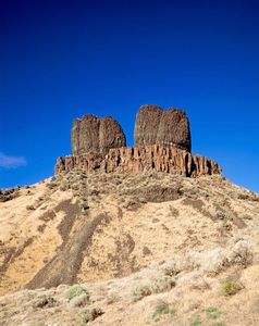 Which food festival is held annually in the Black Rock Desert, Nevada?