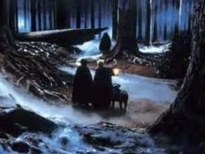 What type of magical creature came to Harry's rescue in the forbidden forest in Harry Potter and the Philosophers Stone?