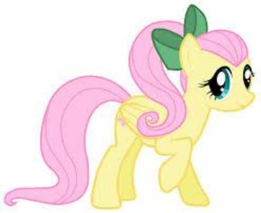 What does Fluttershy like the most out of these?