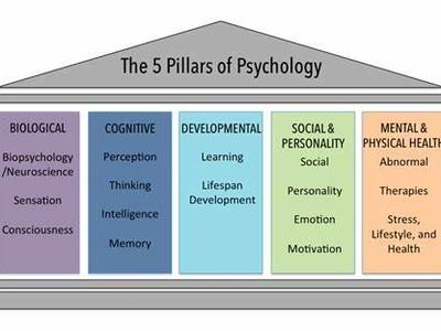 Which of the following is NOT a major area of psychology?