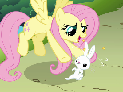 What is the name of Fluttershy's pet?