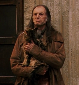 What year was Filch's cat petrified?