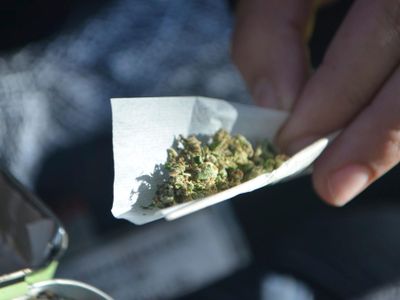 Which age group is most likely to use marijuana according to studies?