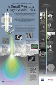 What does a light microscope use to gain powerful magnification of specimens?