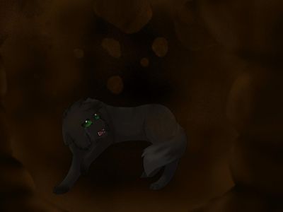 When Hollyleaf jumped into the tunnel that led to Windclan, what happened right when she entered it?