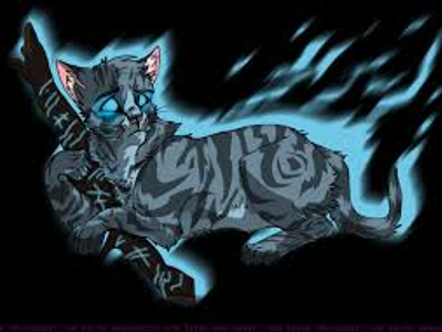 How does Jayfeather communicate with the ancient cats?